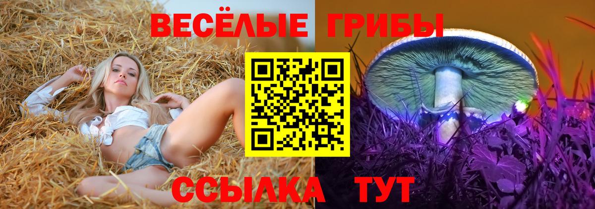 Галлюциногенные грибы GOLDEN TEACHER  Псилоцибиновые грибы мицелий  Мелеуз  Вход с VPN 